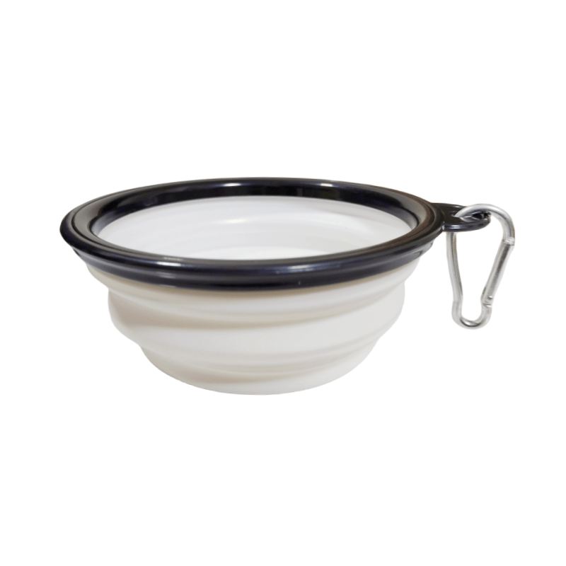Portable Folding Water Bowl