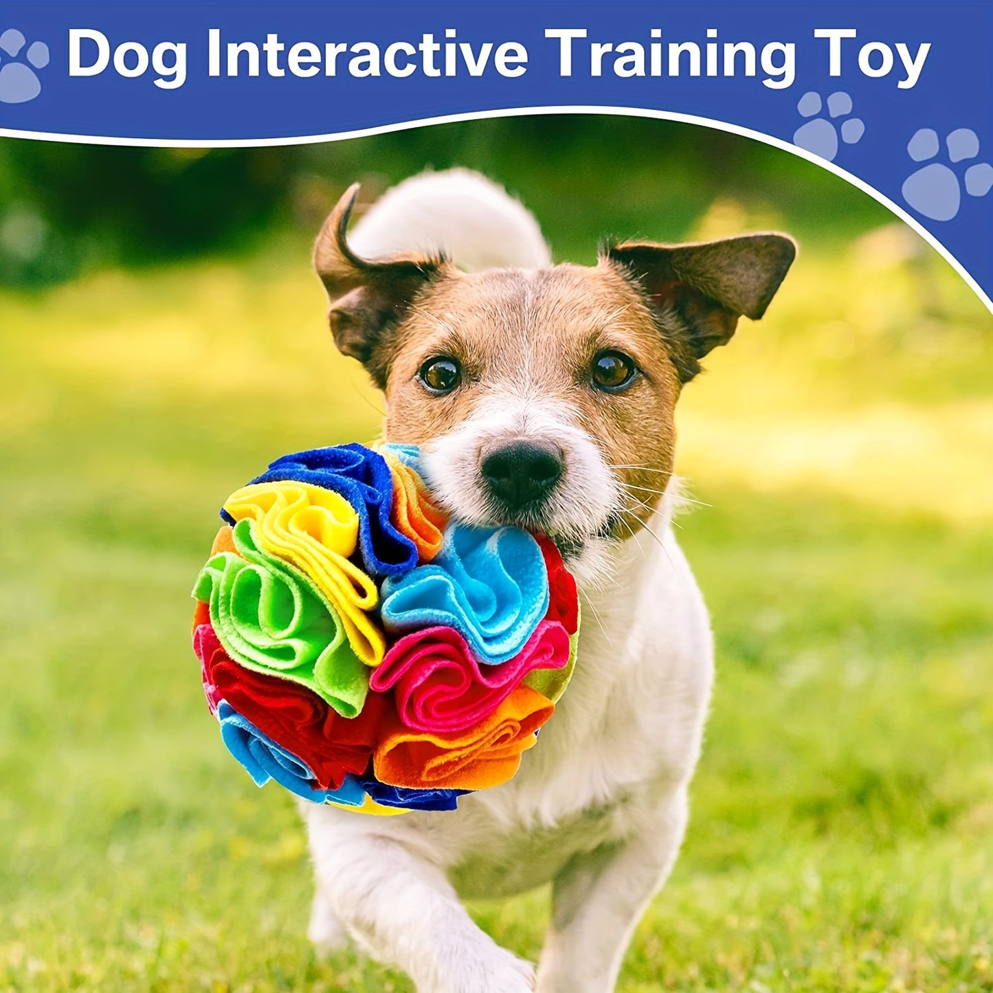 Snuffle Ball for Dogs