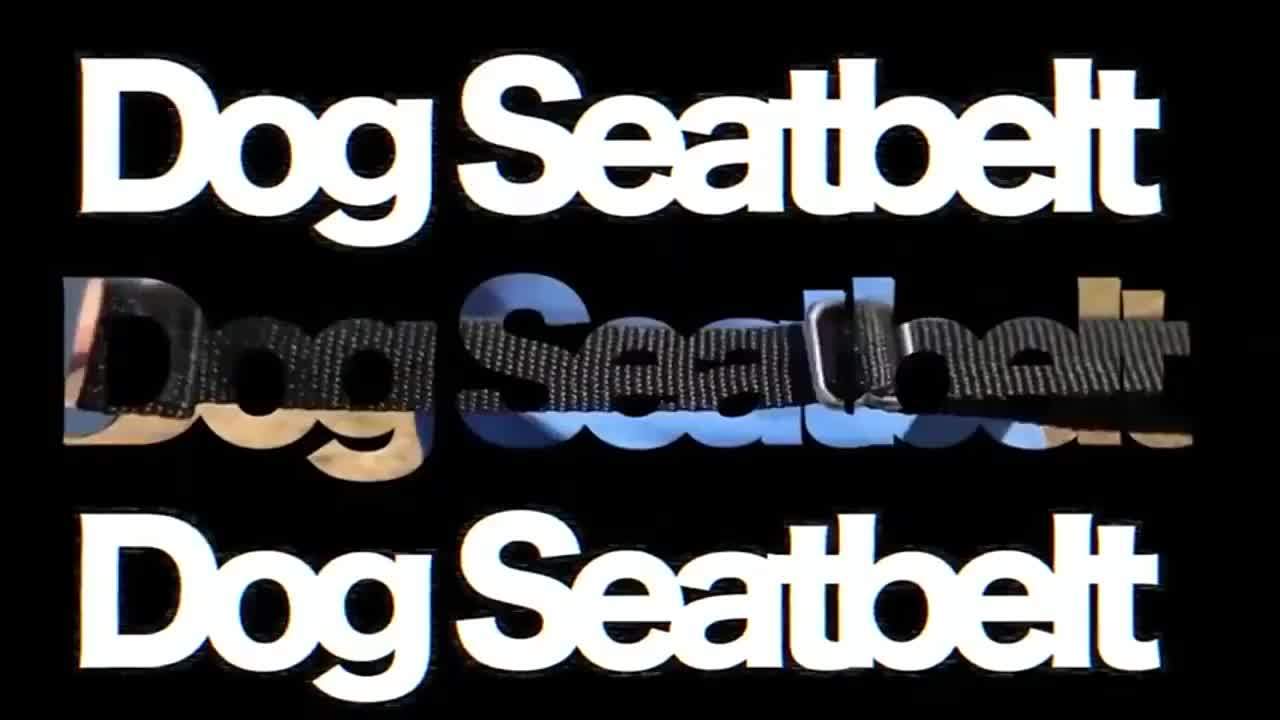 Adjustable Pet Safety Seat Belt