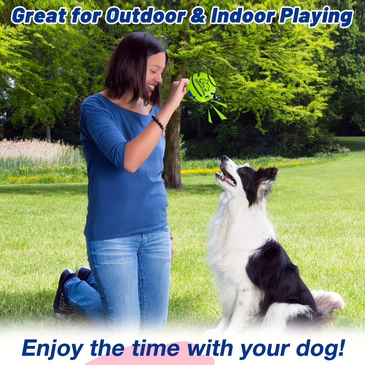 Pet Voice Ball Toy