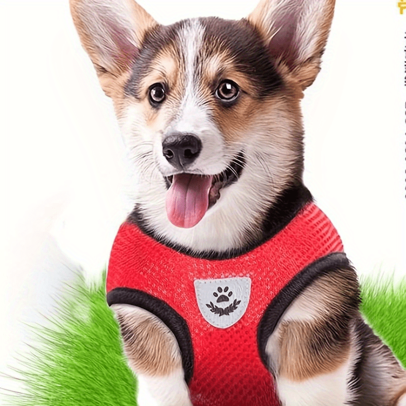Adjustable Puppy Cat Vest Harness With Soft Mesh