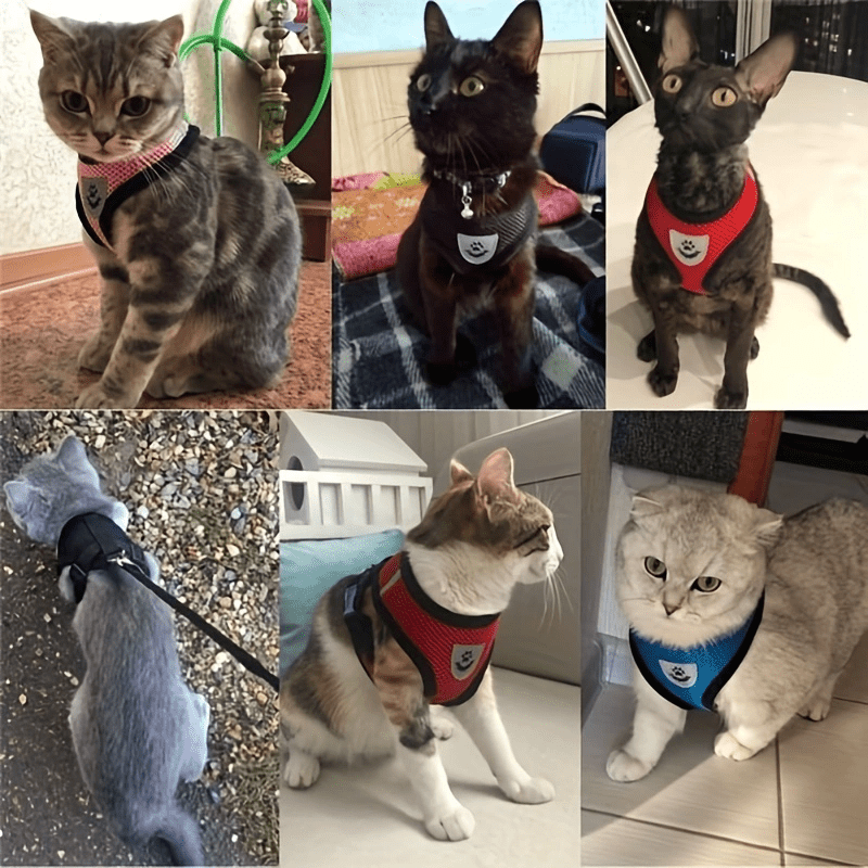 Adjustable Puppy Cat Vest Harness With Soft Mesh