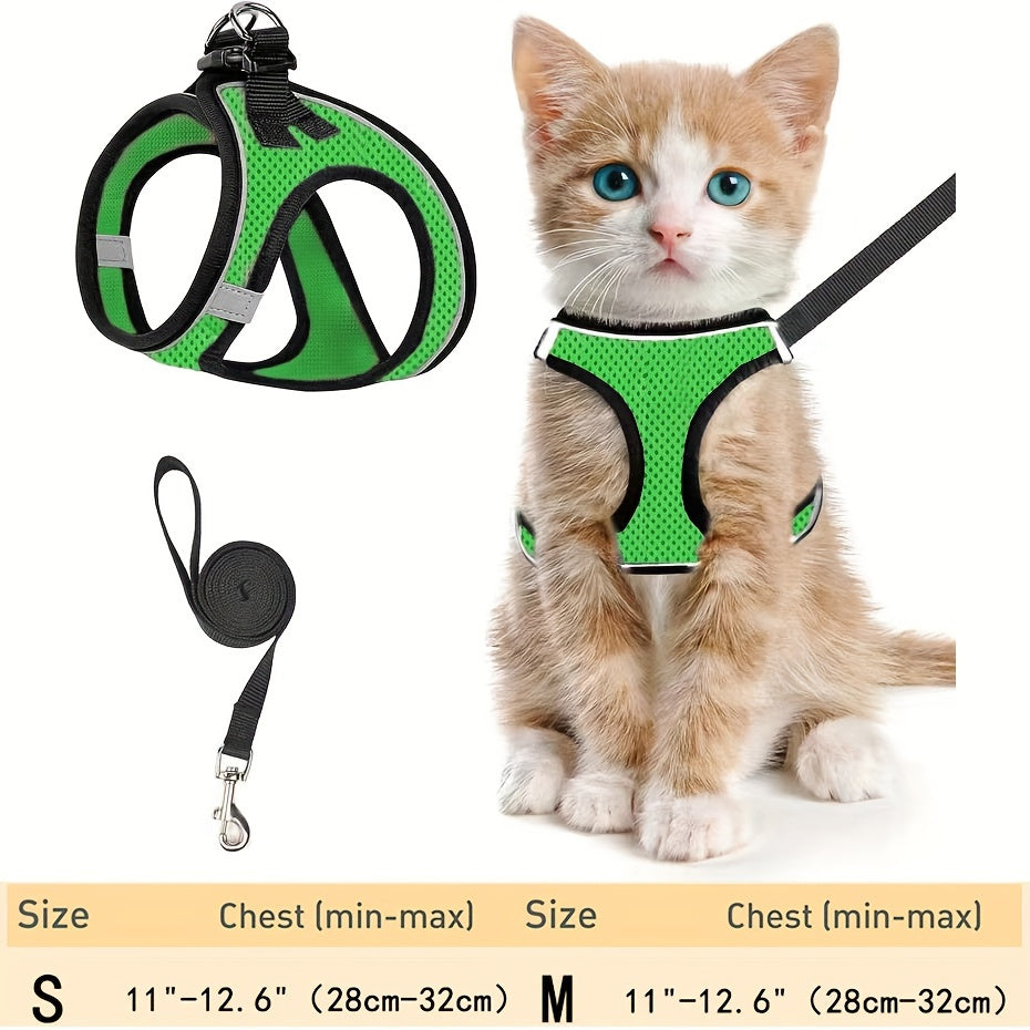 Cat Harness & Leash Set