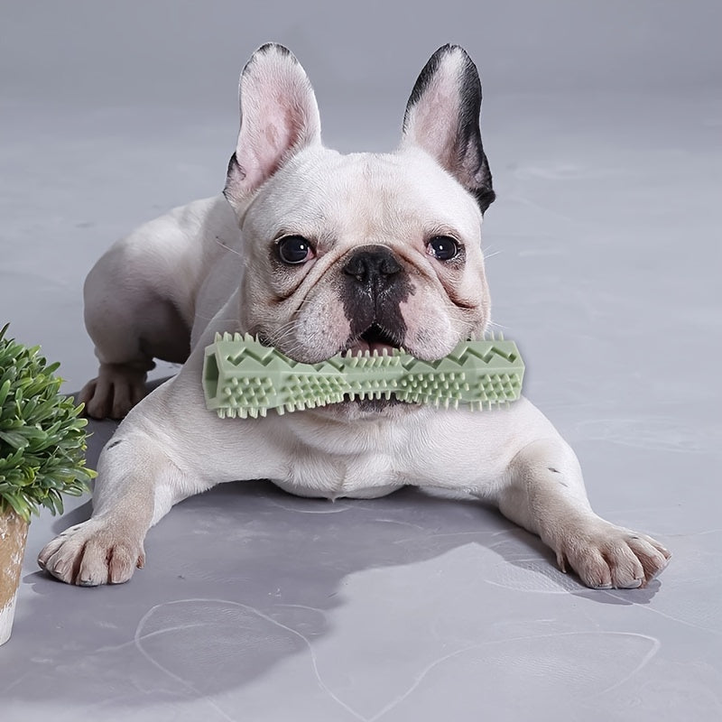 Dog Toothbrush Toy