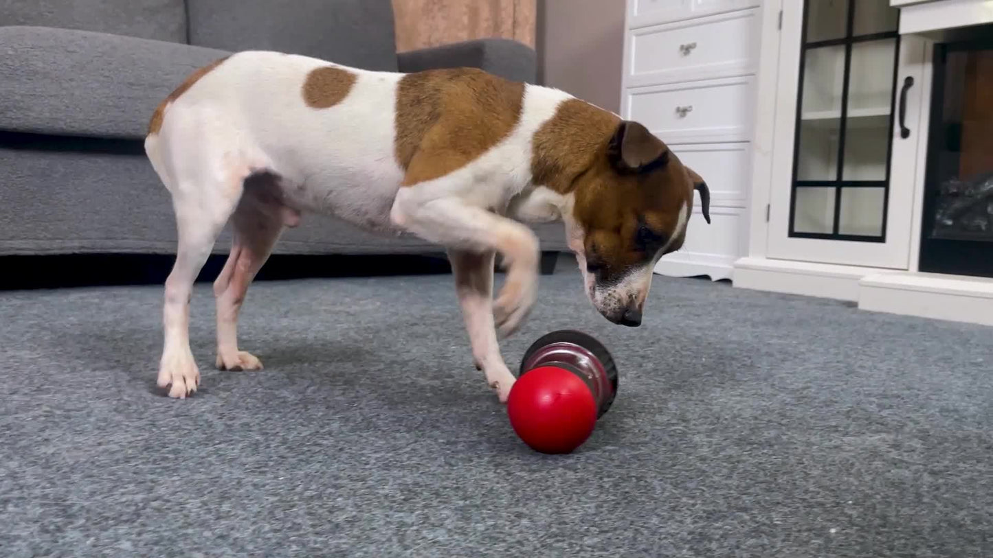 Slow Feeding Toy