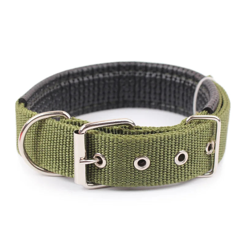 Dog Collar