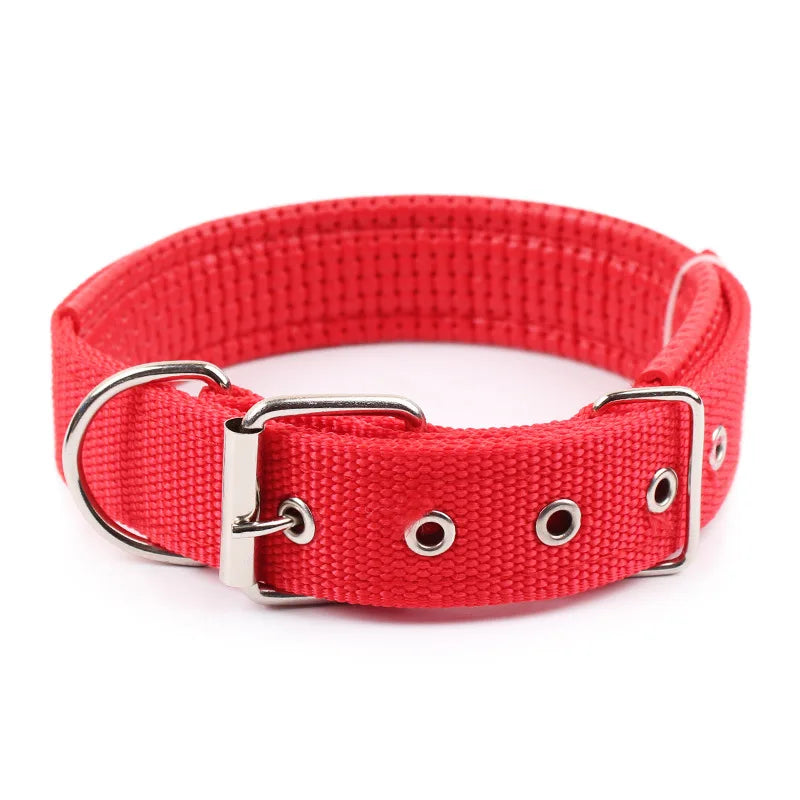 Dog Collar