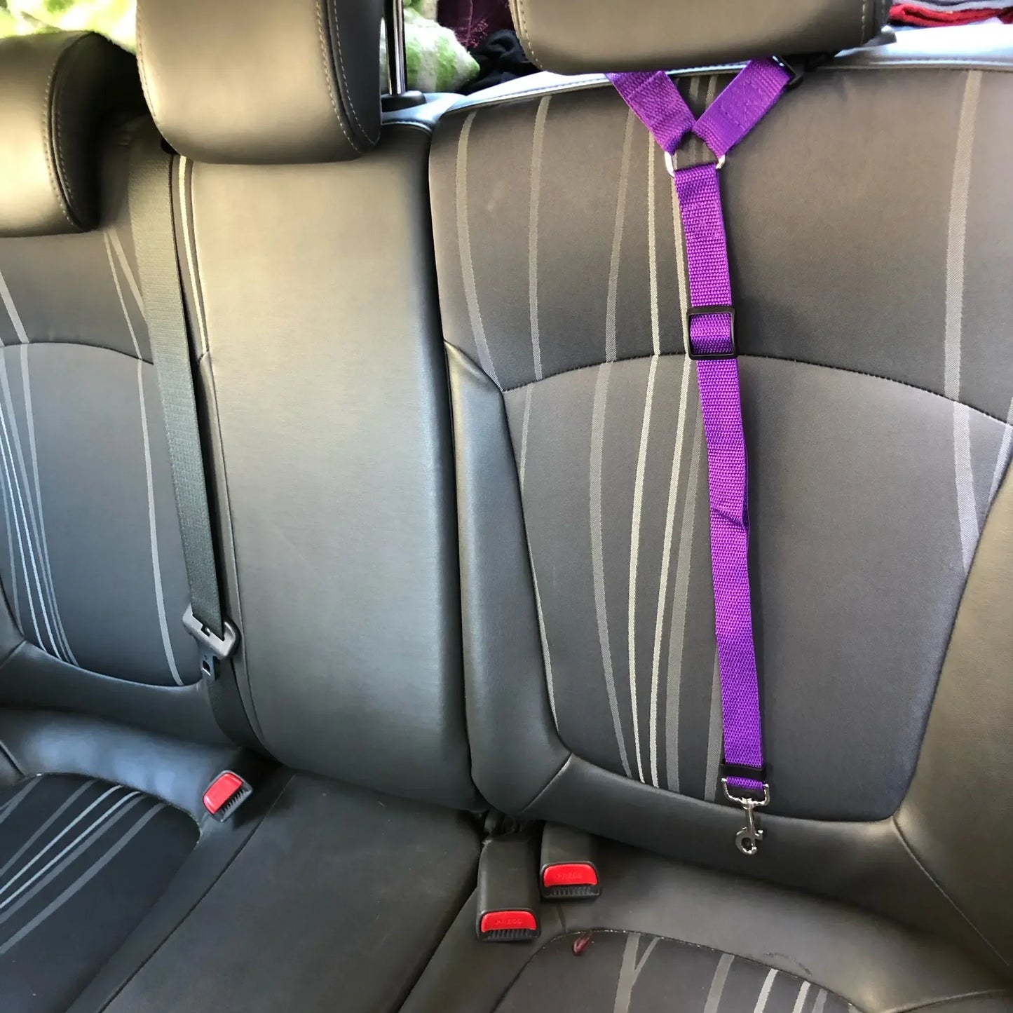 Adjustable Dogs Harness Collar