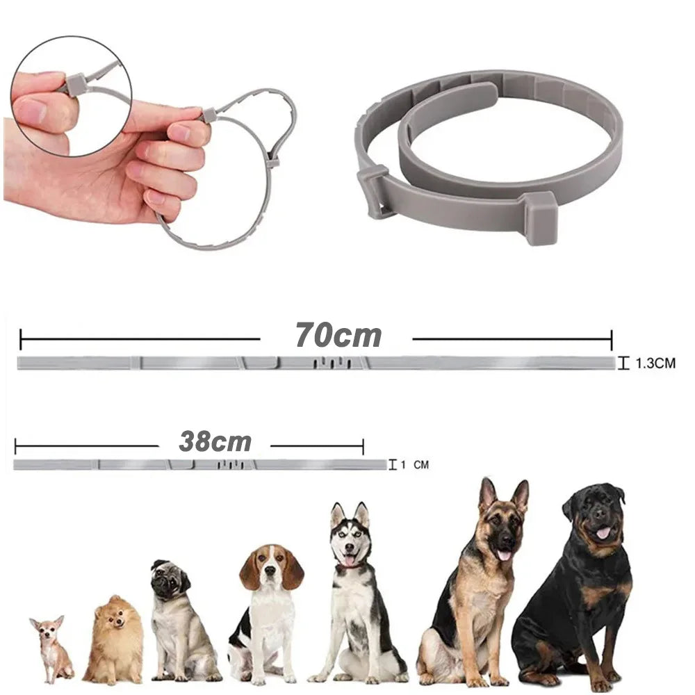 VIP Dog Collar Puppy Dog Cat
