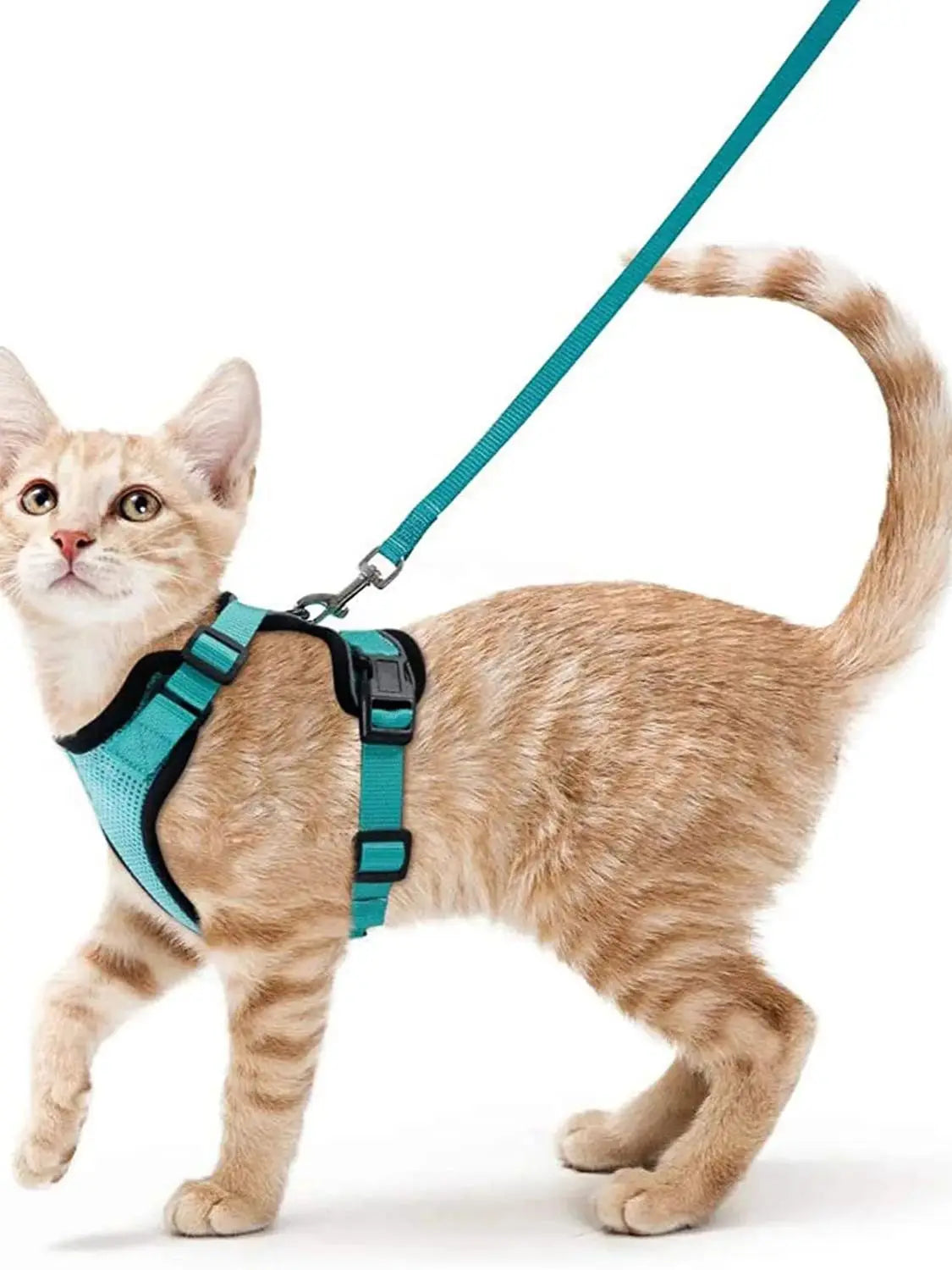 Cat Leash for Walking