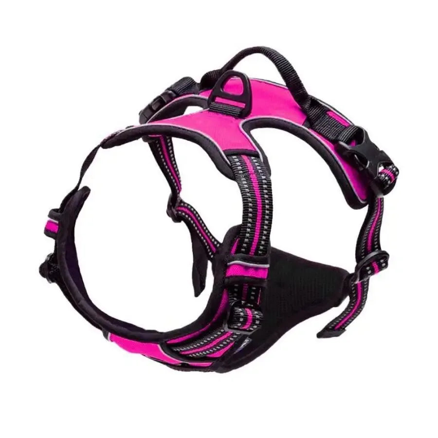 Dog Collars Big Vests Leash