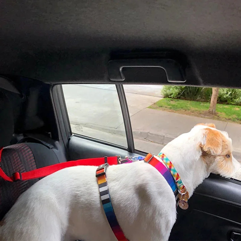 Adjustable Dogs Harness Collar