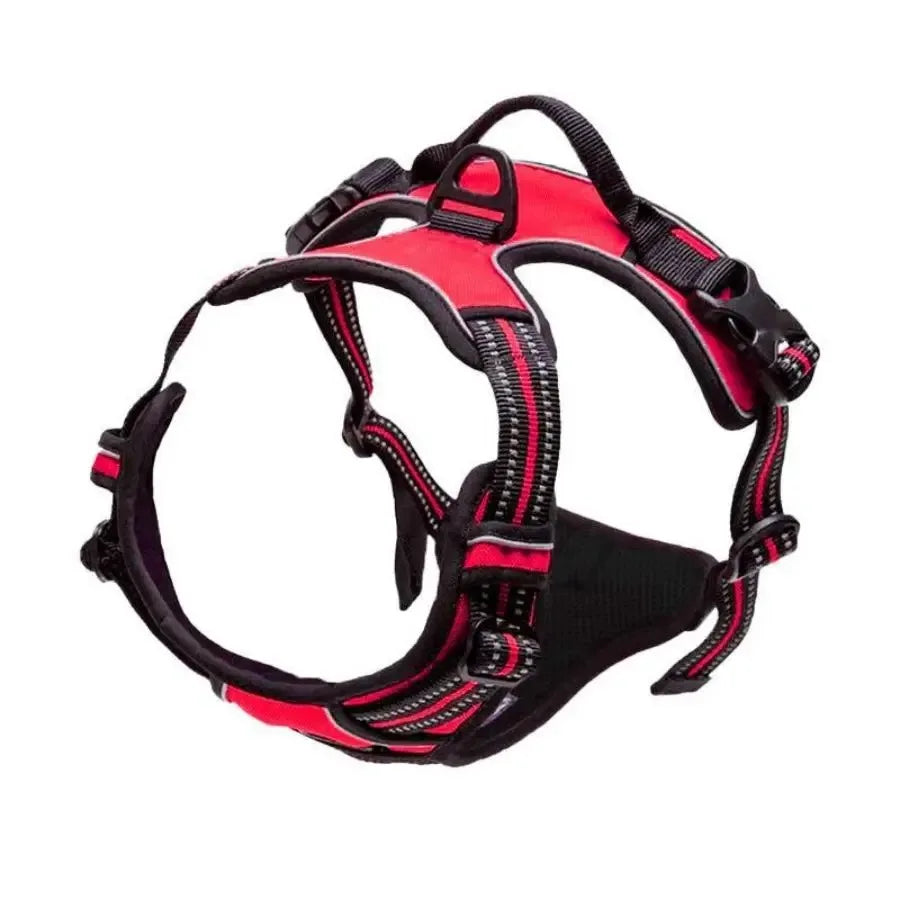 Dog Collars Big Vests Leash