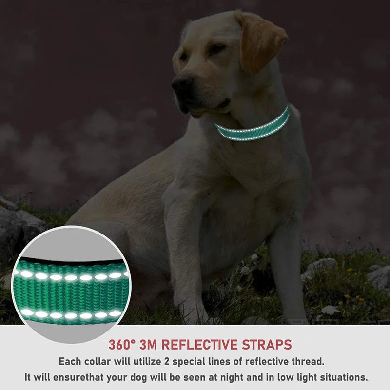 Reflective Dog Collar