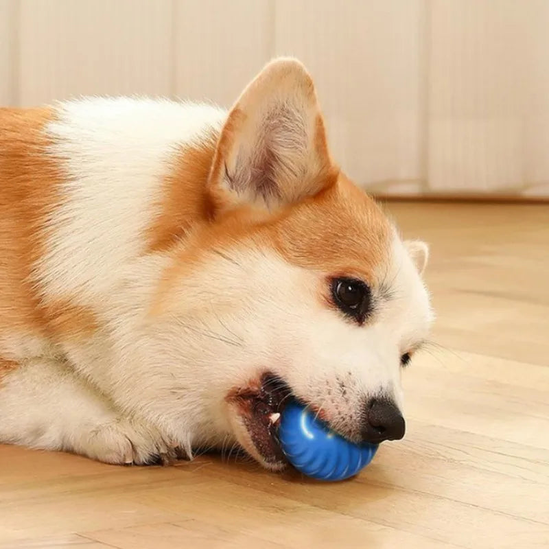 Pet Toy Ball Automatic Moving