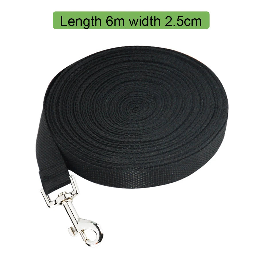 Nylon dog leash