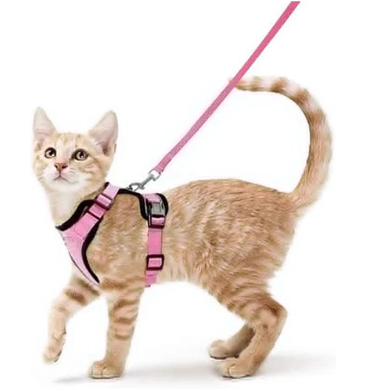 Cat Leash for Walking