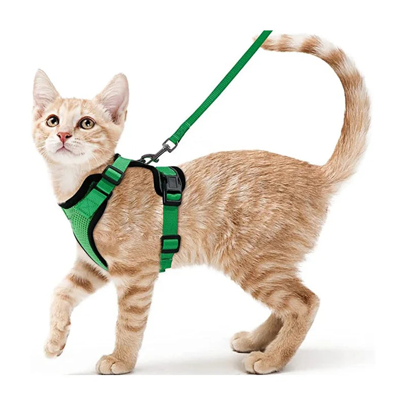 Cat Leash for Walking