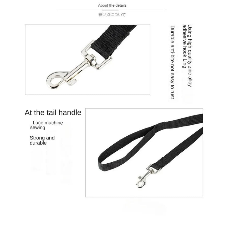 Nylon dog leash