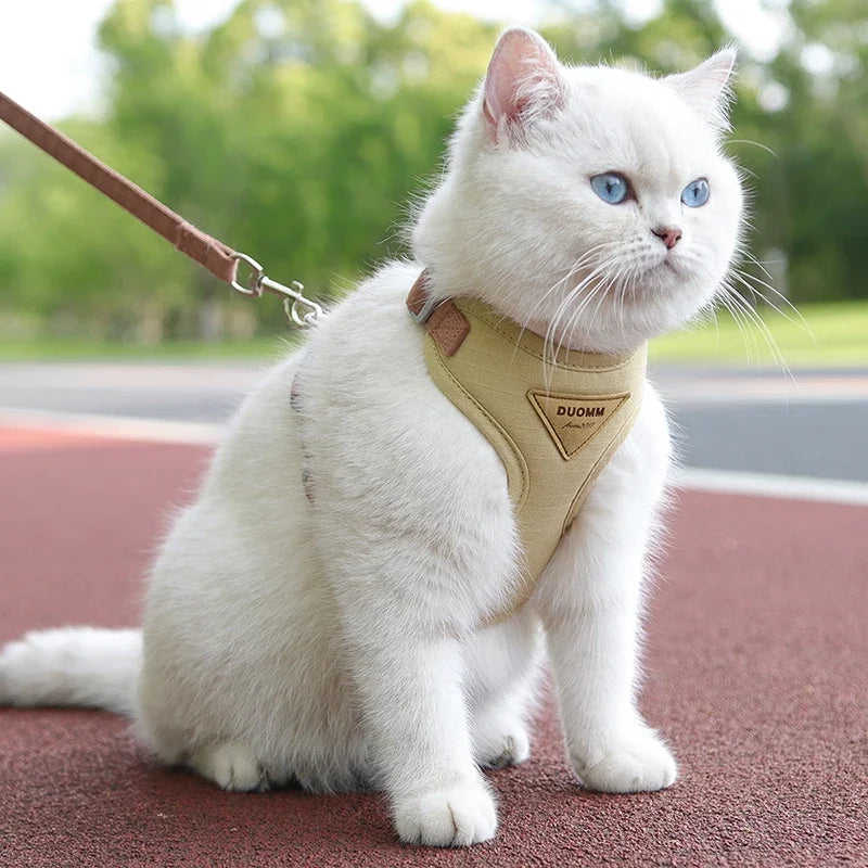 Puppy Harness Leash