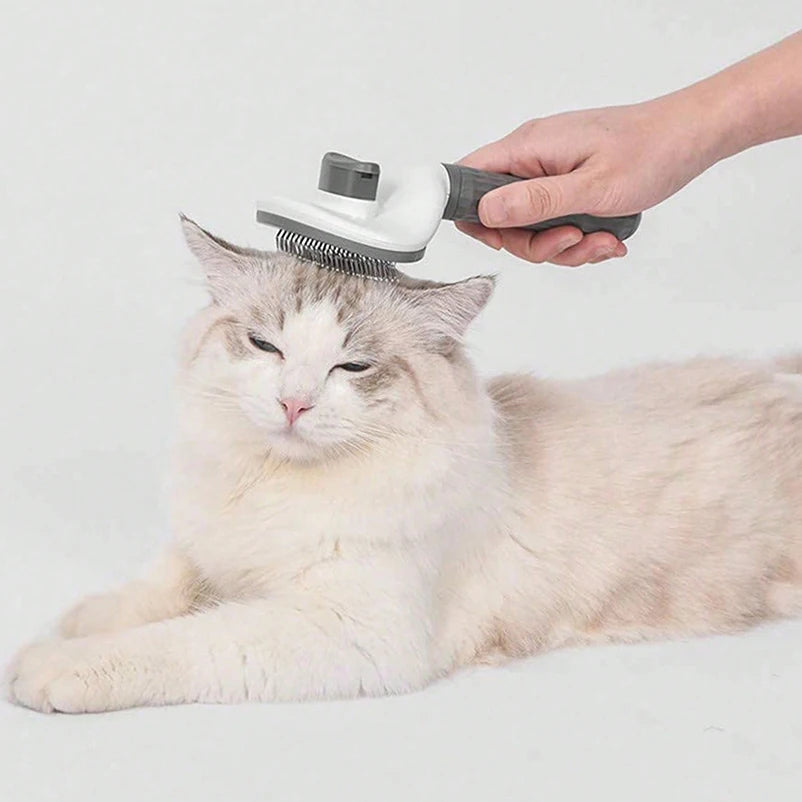 Brush for Dogs & Cats
