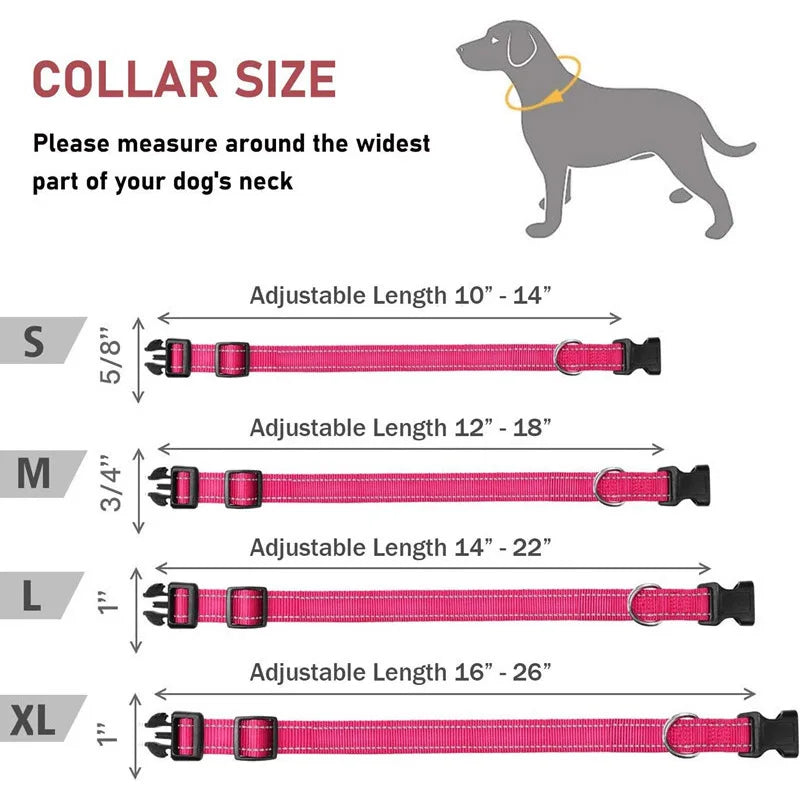 Reflective Dog Collar