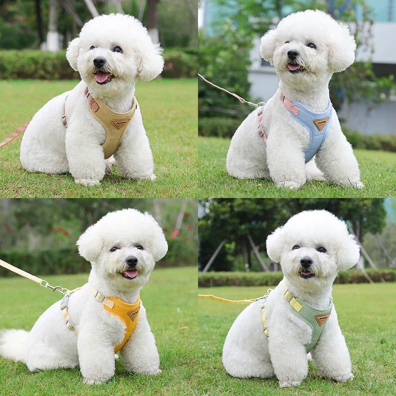 Puppy Harness Leash
