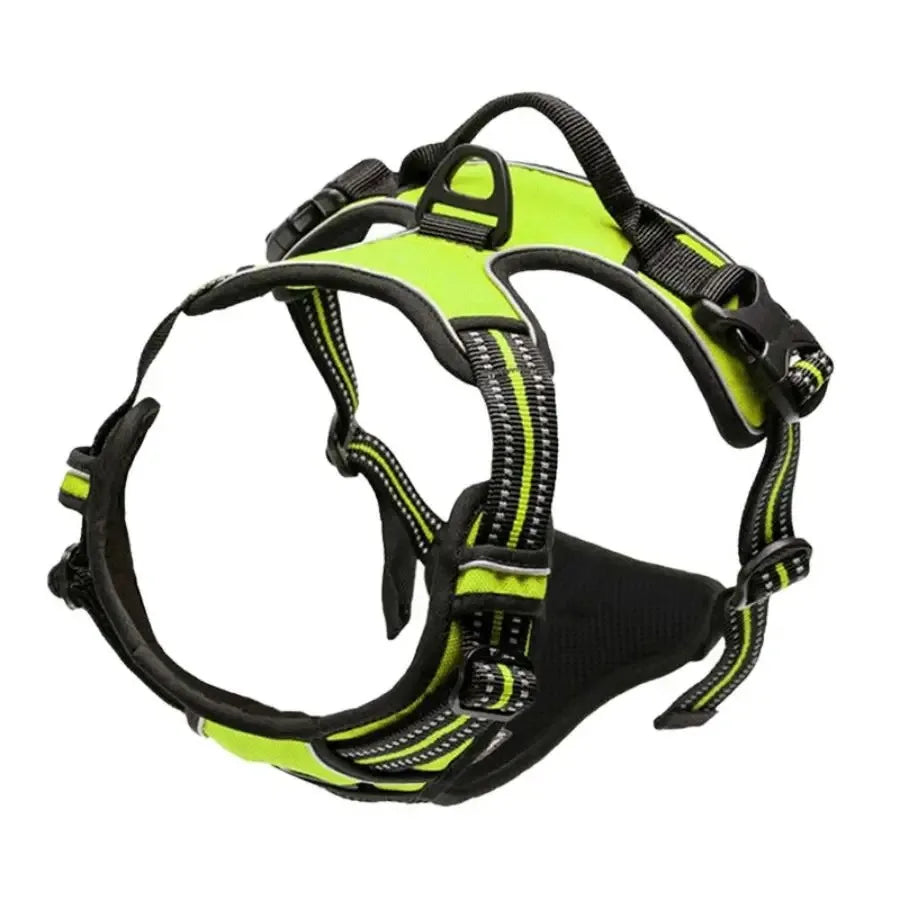 Dog Collars Big Vests Leash