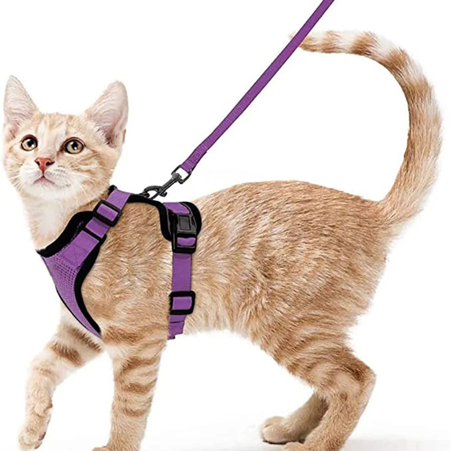 Cat Leash for Walking