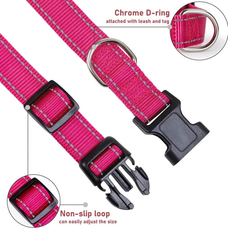 Reflective Dog Collar