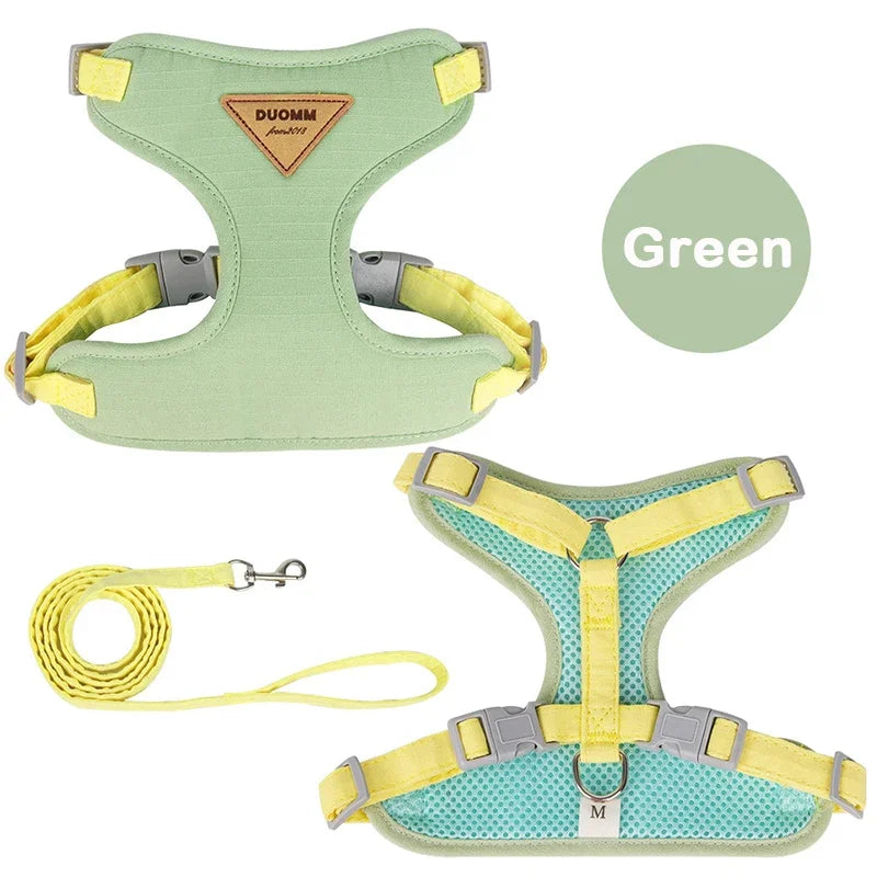 Puppy Harness Leash