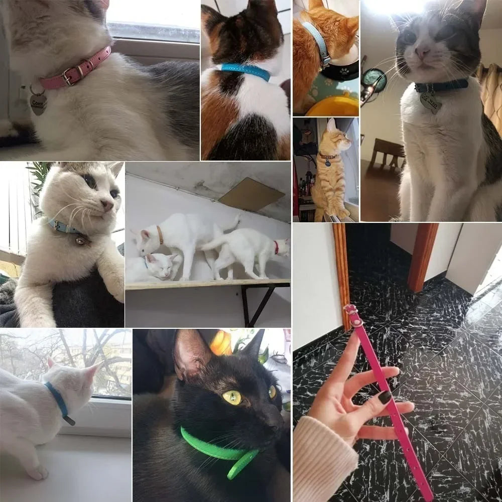Cat Colorful Leather Collar