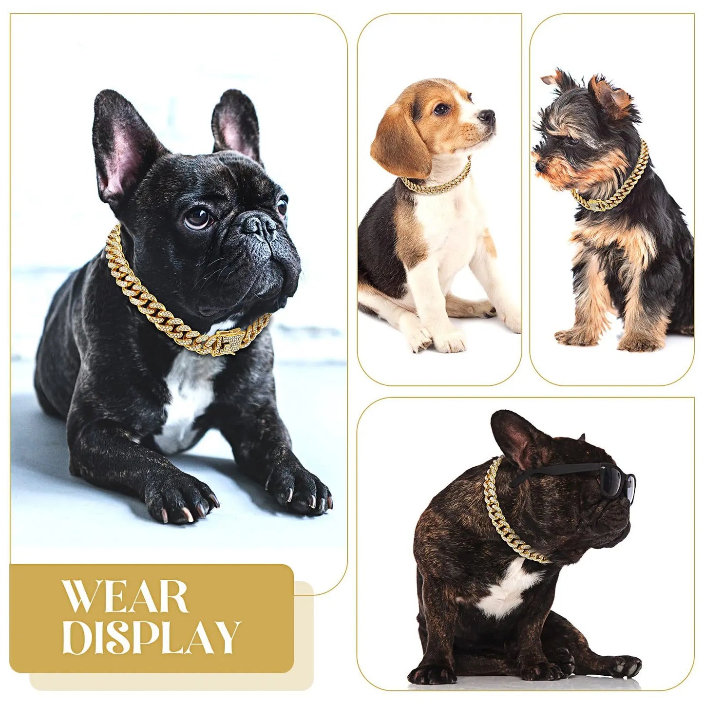 Dog Chain Diamond