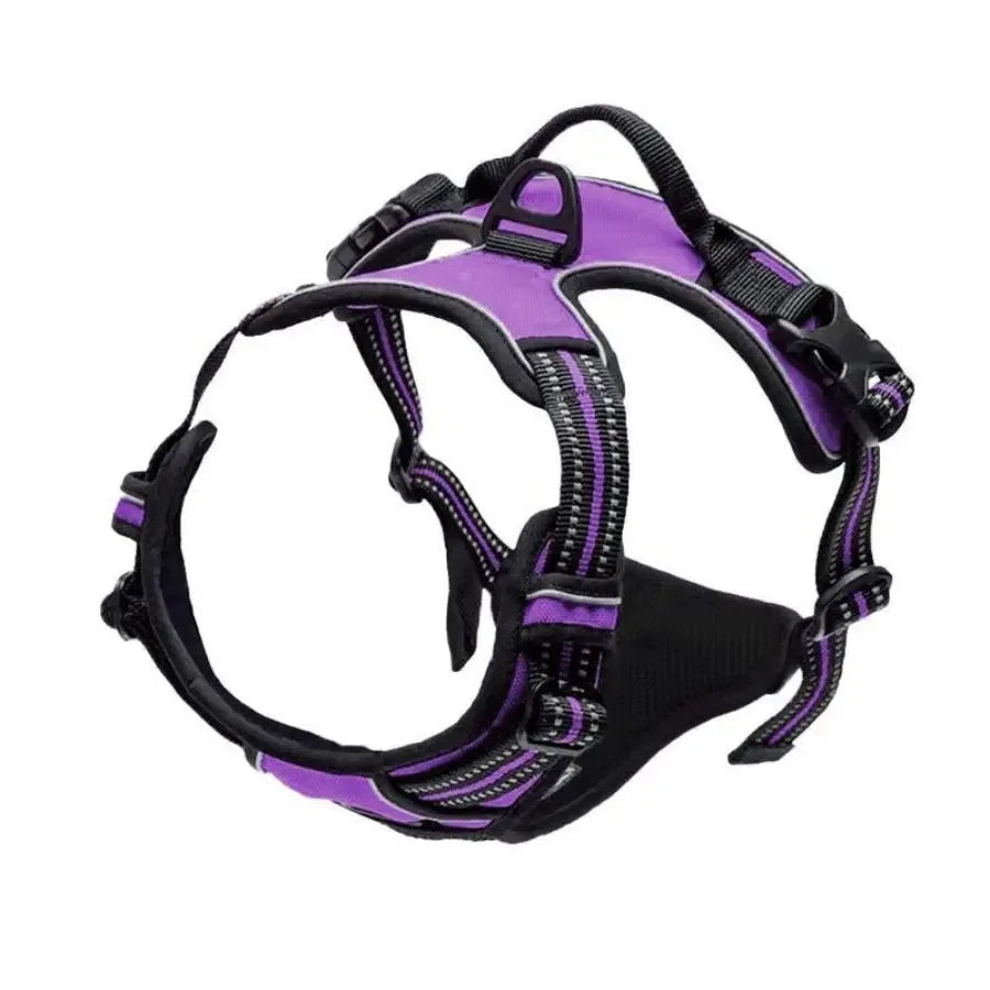 Dog Collars Big Vests Leash