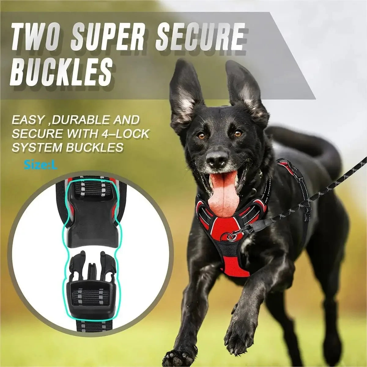 Dog Collars Big Vests Leash