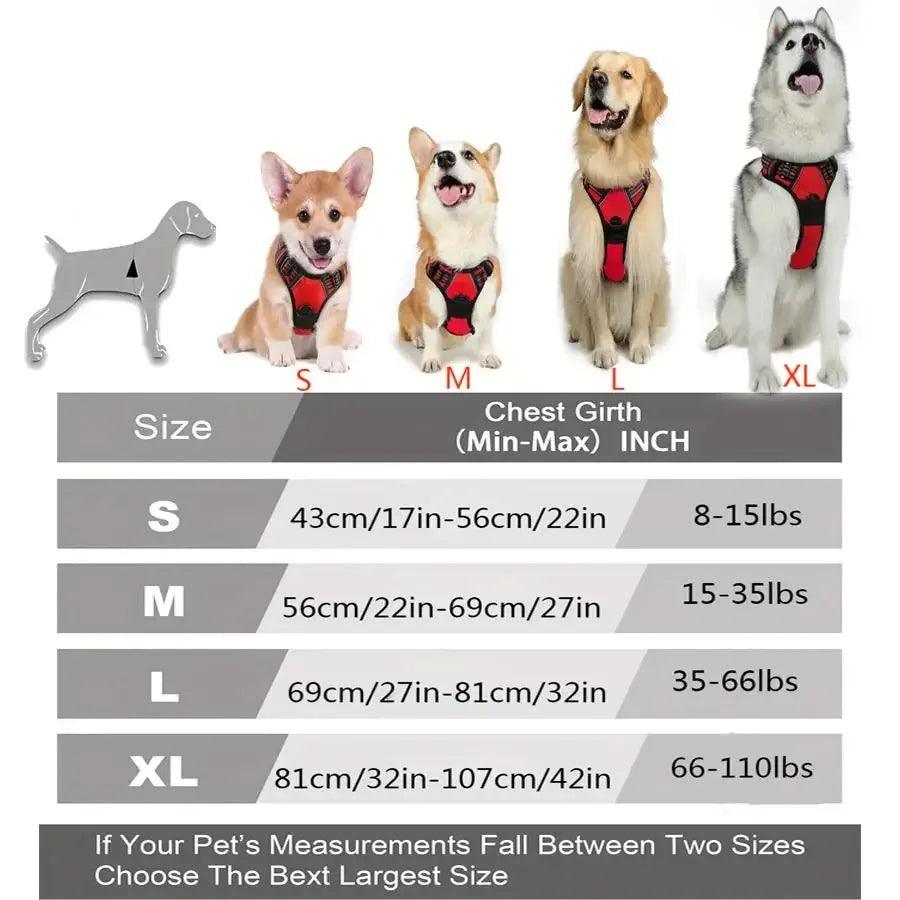 Dog Collars Big Vests Leash