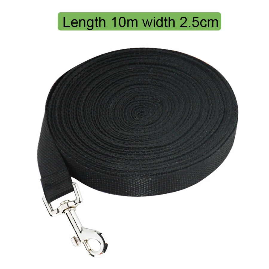 Nylon dog leash