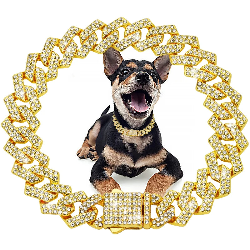 Dog Chain Diamond