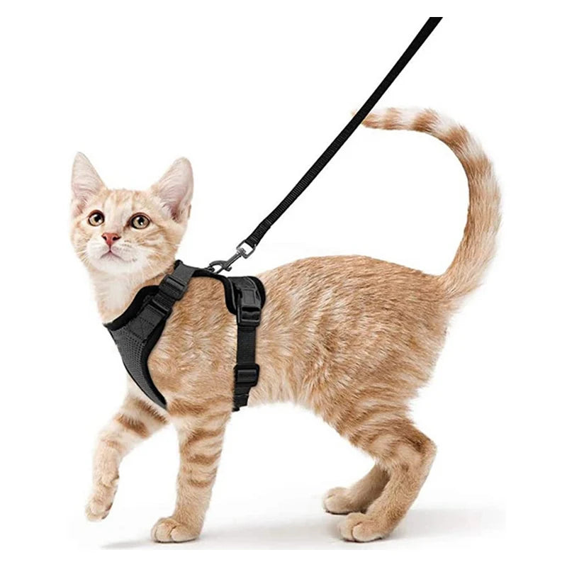 Cat Leash for Walking