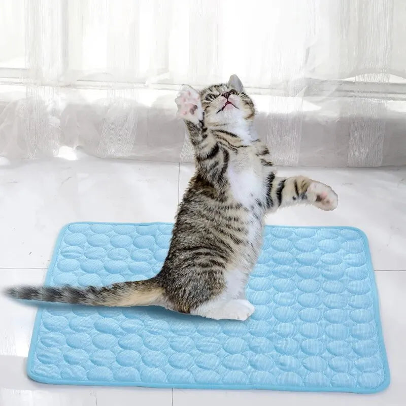 Summer Mats Cat & Dog