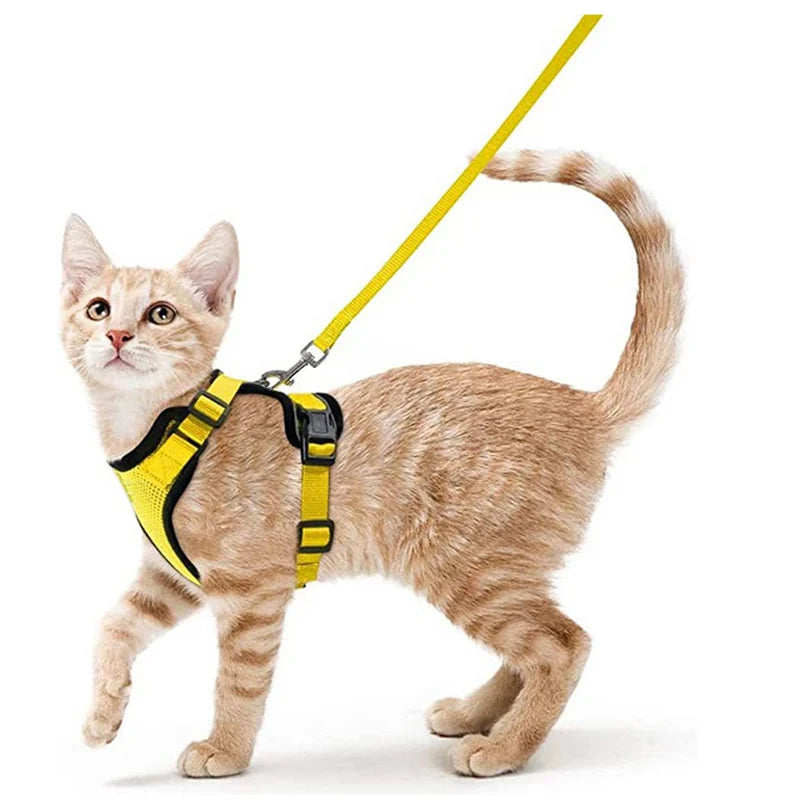 Cat Leash for Walking