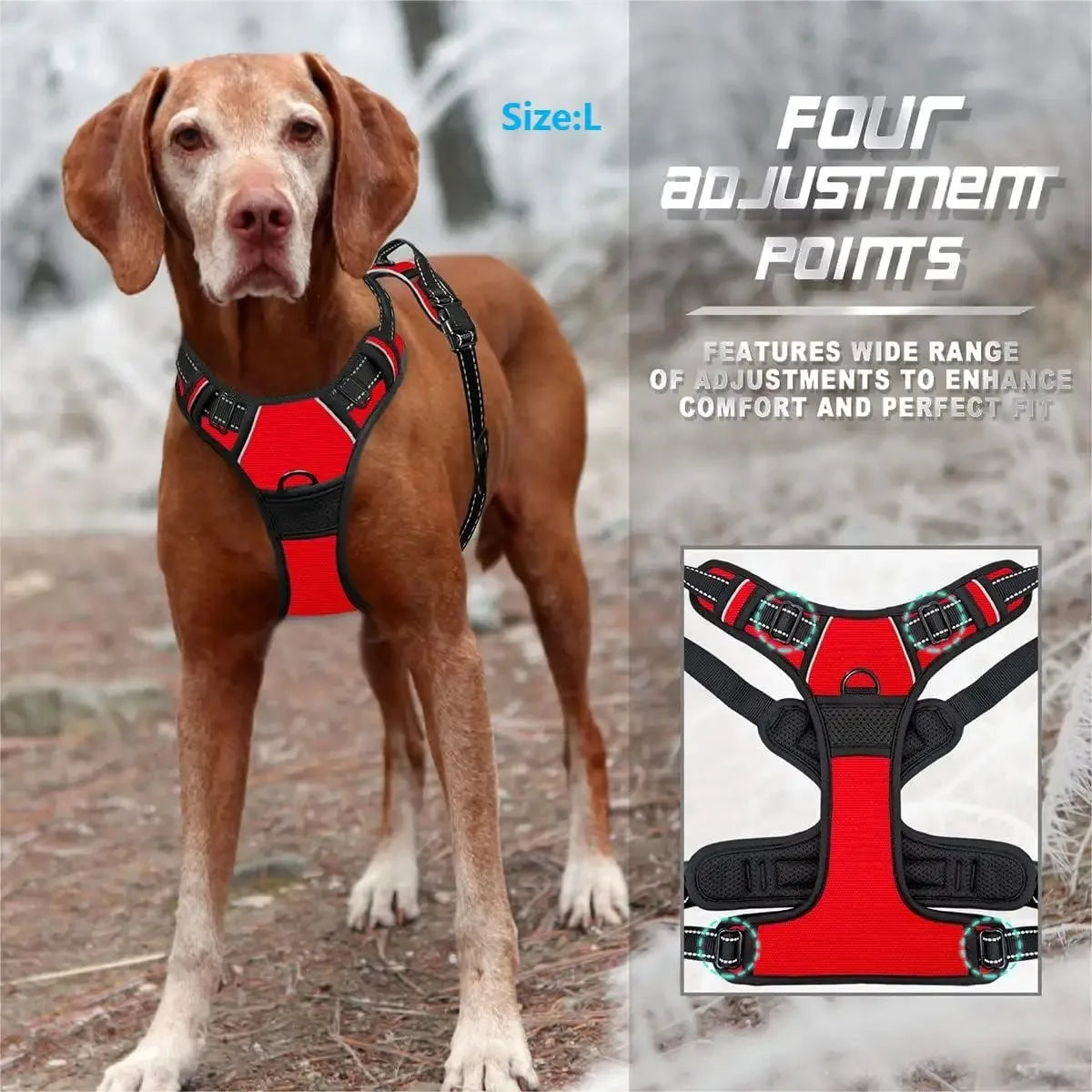 Dog Collars Big Vests Leash