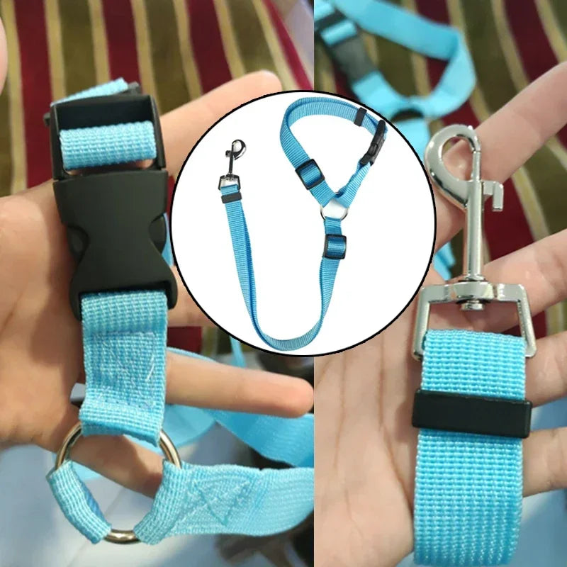 Adjustable Dogs Harness Collar