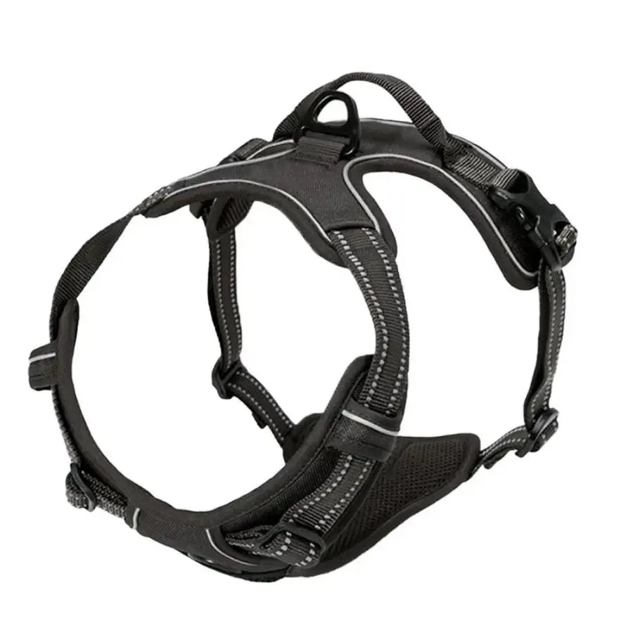 Dog Collars Big Vests Leash