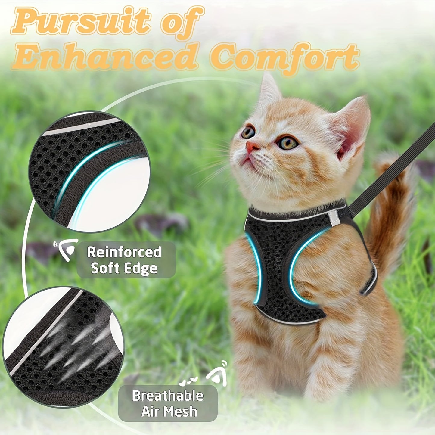 Cat Harness & Leash Set