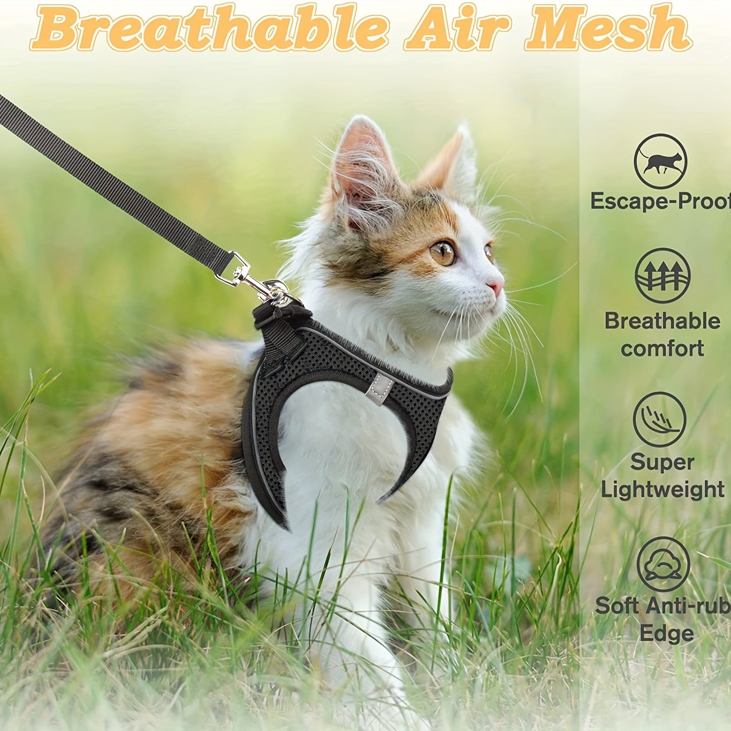 Cat Harness & Leash Set