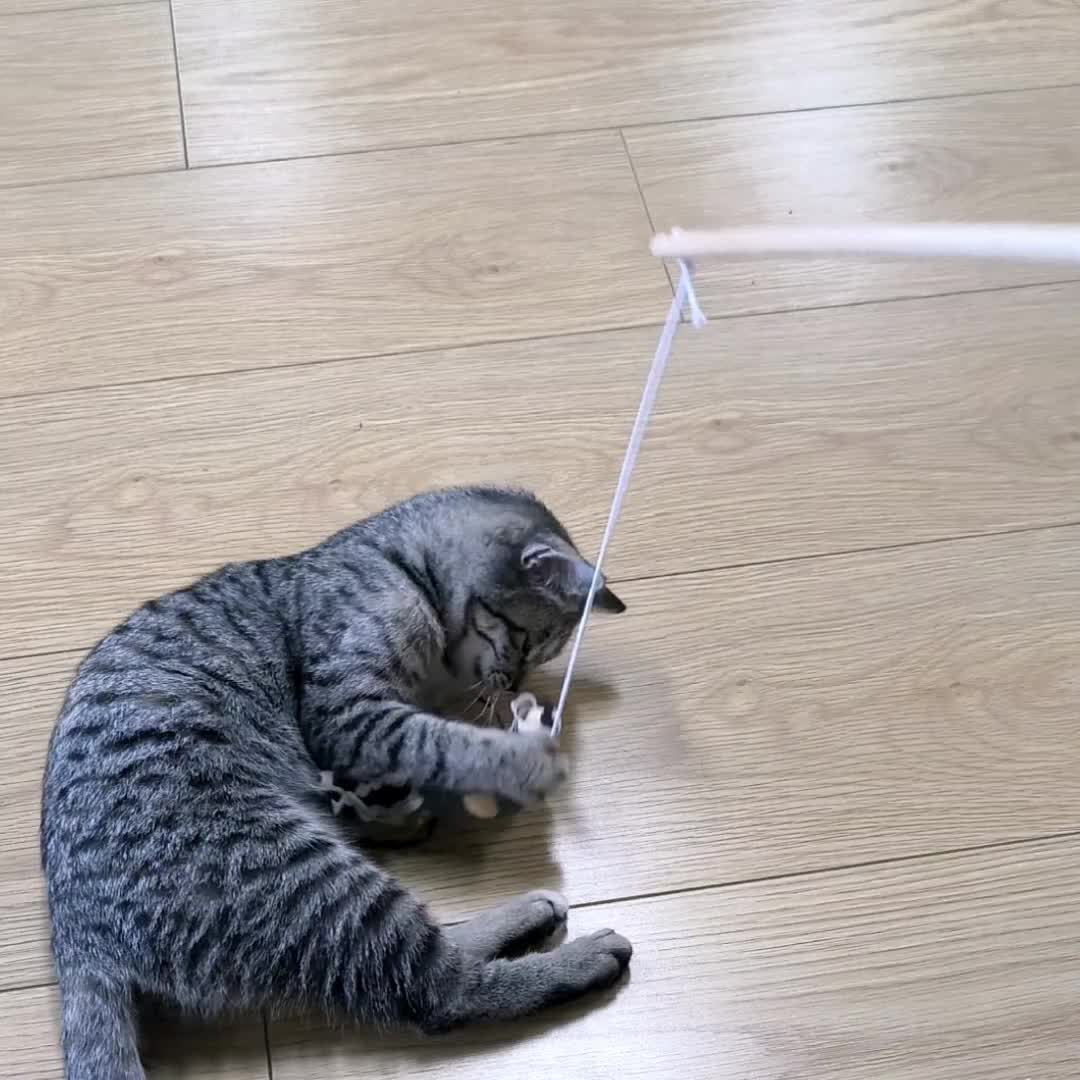 Mouse Cat Teaser Stick