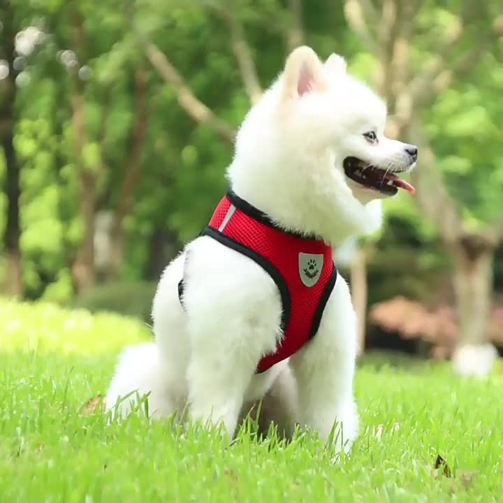 Adjustable Puppy Cat Vest Harness With Soft Mesh