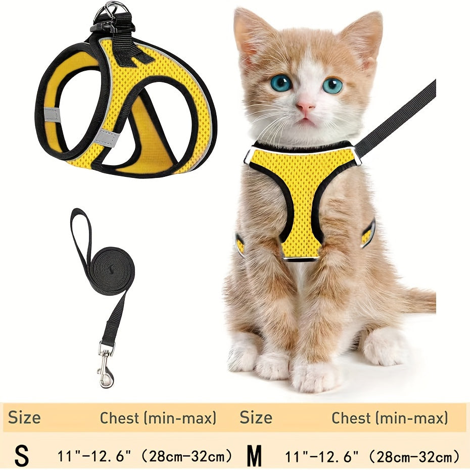 Cat Harness & Leash Set