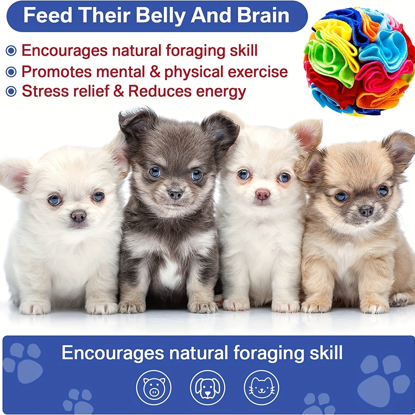 Snuffle Ball for Dogs